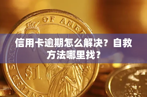济南信用卡逾期怎么解决？自救方法哪里找？