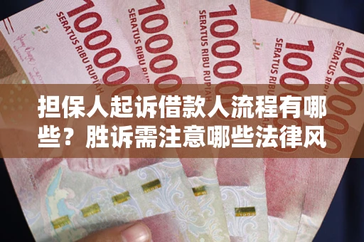 济南担保人起诉借款人流程有哪些？胜诉需注意哪些法律风险？