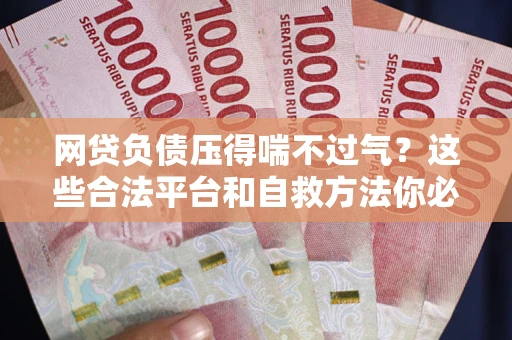 济南网贷负债压得喘不过气？这些合法平台和自救方法你必须知道！