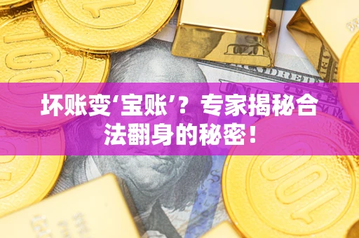 济南坏账变‘宝账’？专家揭秘合法翻身的秘密！