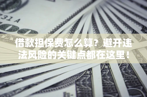济南借款担保费怎么算？避开违法风险的关键点都在这里！