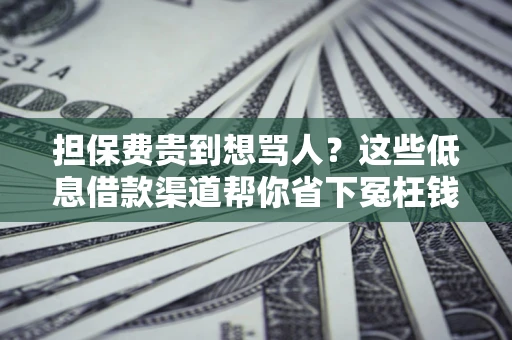 济南担保费贵到想骂人？这些低息借款渠道帮你省下冤枉钱