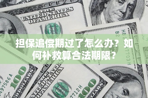 济南担保追偿期过了怎么办？如何补救算合法期限？
