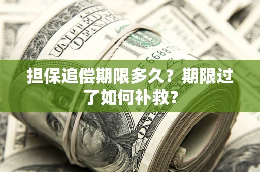 济南担保追偿期限多久？期限过了如何补救？
