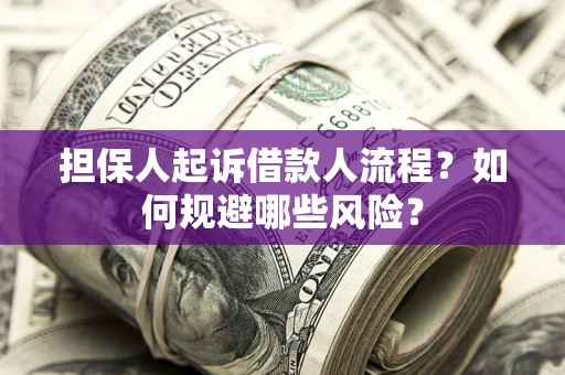 济南担保人起诉借款人流程？如何规避哪些风险？