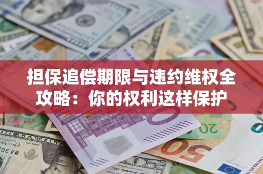 济南担保追偿期限与违约维权全攻略：你的权利这样保护
